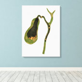 Conceptueel Afbeelding van galstenen in galgen Canvas Afdruk (Insitu (Houten vloer))