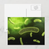 Conceptueel Afbeelding van gemeenschappelijke bact Briefkaart (Voorkant / Achterkant)