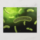 Conceptueel Afbeelding van gemeenschappelijke bact Briefkaart (Voorkant)