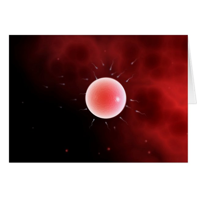 Conceptueel Afbeelding van gemeenschappelijke beme (Voorkant Horizontaal)