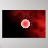 Conceptueel Afbeelding van gemeenschappelijke beme Poster (Voorkant)