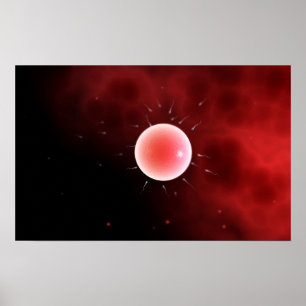 Conceptueel Afbeelding van gemeenschappelijke beme Poster