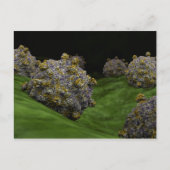 Conceptueel Afbeelding van het Coxsackievirus 1 Briefkaart (Voorkant)