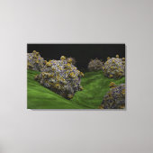 Conceptueel Afbeelding van het Coxsackievirus 1 Canvas Afdruk (Voorkant)