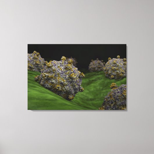 Conceptueel Afbeelding van het Coxsackievirus 1 Canvas Afdruk (Voorkant)
