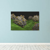 Conceptueel Afbeelding van het Coxsackievirus 1 Canvas Afdruk (Insitu (Houten vloer))