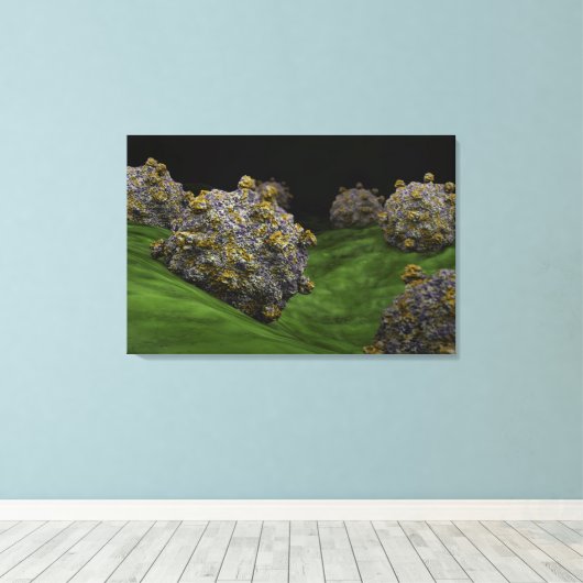 Conceptueel Afbeelding van het Coxsackievirus 1 Canvas Afdruk (Insitu (Houten vloer))