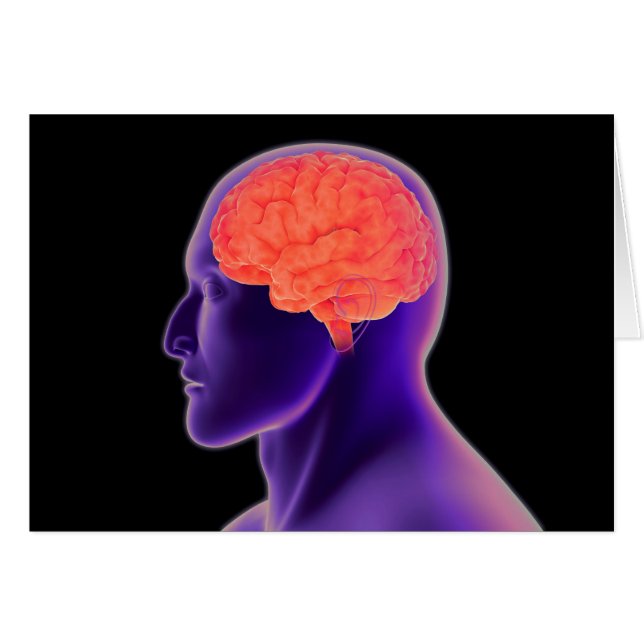 Conceptueel Afbeelding van het menselijk brein 1 (Voorkant Horizontaal)