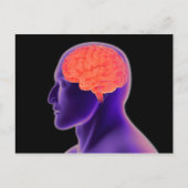 Conceptueel Afbeelding van het menselijk brein 1 Briefkaart (Voorkant)