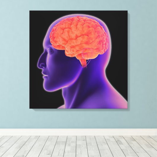 Conceptueel Afbeelding van het menselijk brein 1 Canvas Afdruk (Insitu (Houten vloer))