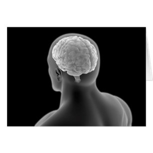 Conceptueel Afbeelding van het menselijk brein 2