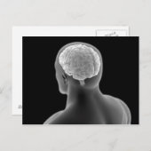 Conceptueel Afbeelding van het menselijk brein 2 Briefkaart (Voorkant / Achterkant)