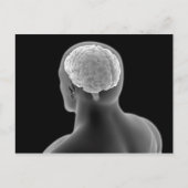 Conceptueel Afbeelding van het menselijk brein 2 Briefkaart (Voorkant)