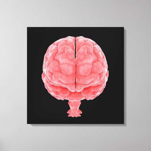 Conceptueel Afbeelding van het menselijk brein 3 Canvas Afdruk (Voorkant)