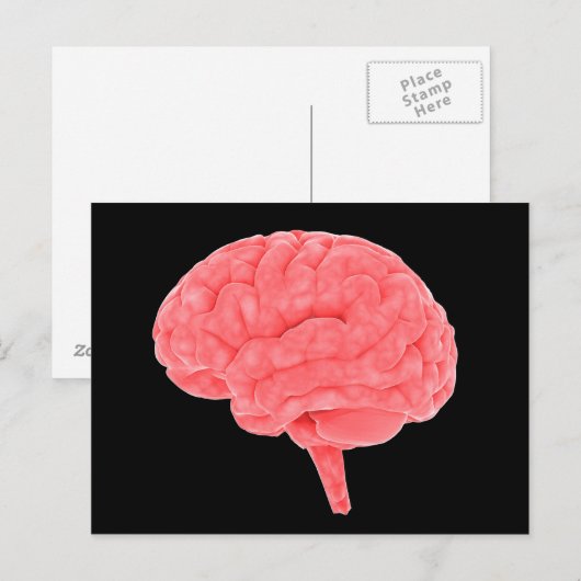 Conceptueel Afbeelding van het menselijk brein 4 Briefkaart (Voorkant / Achterkant)