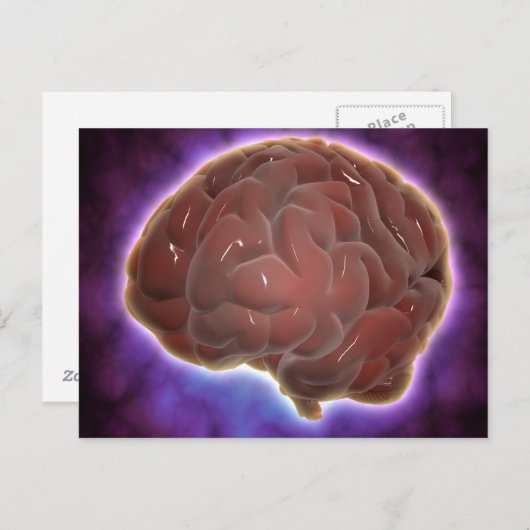 Conceptueel Afbeelding van het menselijk brein 6 Briefkaart (Voorkant / Achterkant)