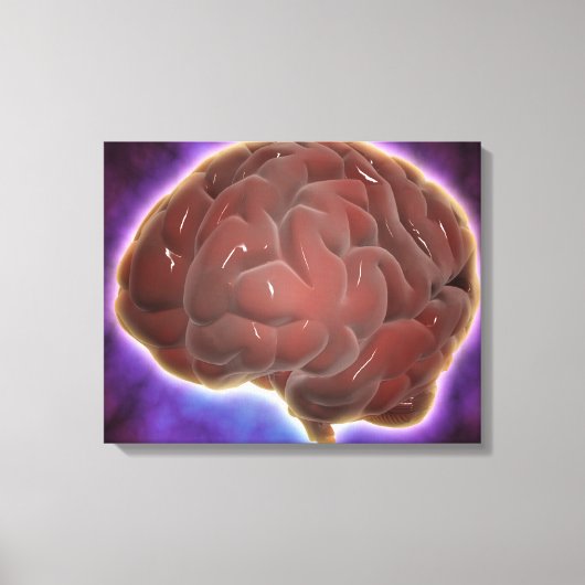 Conceptueel Afbeelding van het menselijk brein 6 Canvas Afdruk (Voorkant)
