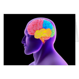 conceptueel Afbeelding van het menselijk brein 7