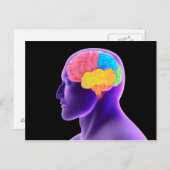 conceptueel Afbeelding van het menselijk brein 7 Briefkaart (Voorkant / Achterkant)