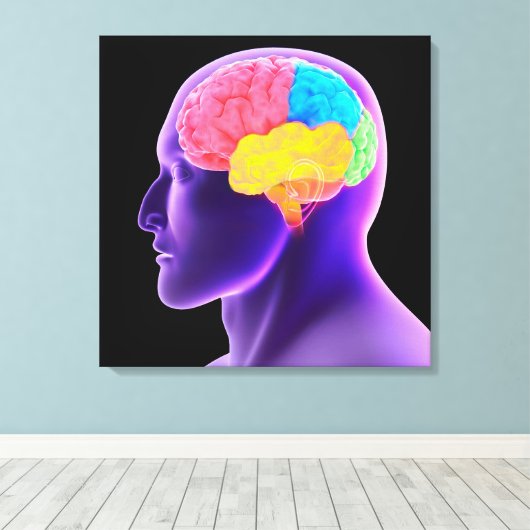 conceptueel Afbeelding van het menselijk brein 7 Canvas Afdruk (Insitu (Houten vloer))