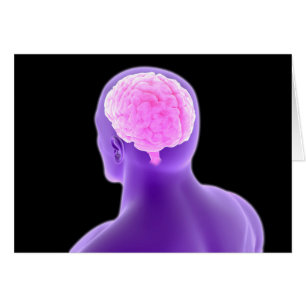 Conceptueel Afbeelding van het menselijk brein 9