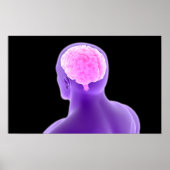 Conceptueel Afbeelding van het menselijk brein 9 Poster (Voorkant)