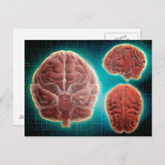 Conceptueel Afbeelding van het menselijk brein op Briefkaart (Voorkant / Achterkant)