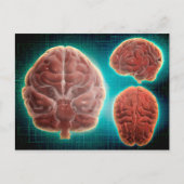 Conceptueel Afbeelding van het menselijk brein op Briefkaart (Voorkant)