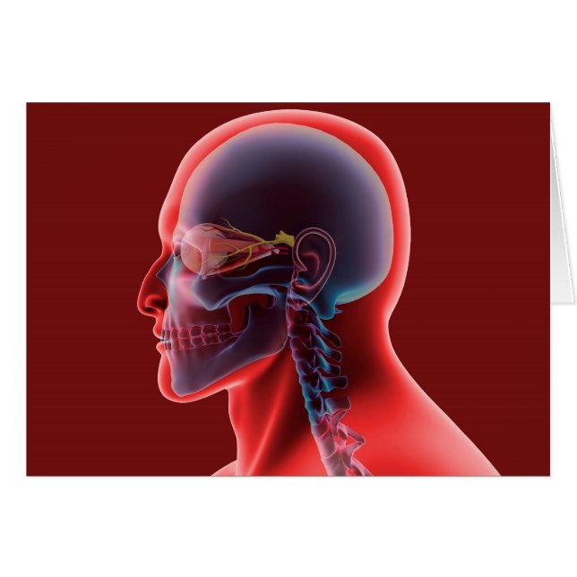 Conceptueel Afbeelding van het menselijk oog en de (Voorkant Horizontaal)