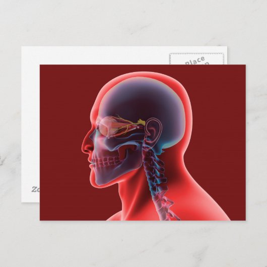 Conceptueel Afbeelding van het menselijk oog en de Briefkaart (Voorkant / Achterkant)