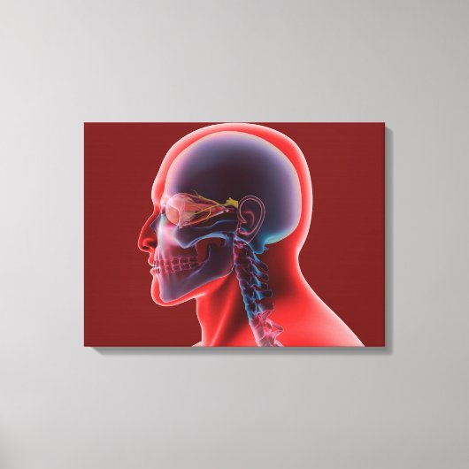 Conceptueel Afbeelding van het menselijk oog en de Canvas Afdruk (Voorkant)