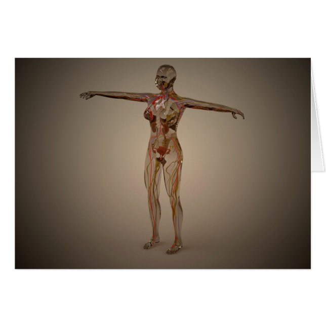 Conceptueel Afbeelding van het menselijk zenuwstel (Voorkant Horizontaal)