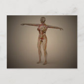 Conceptueel Afbeelding van het menselijk zenuwstel Briefkaart (Voorkant)