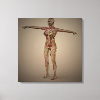 Conceptueel Afbeelding van het menselijk zenuwstel Canvas Afdruk