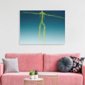 Conceptueel Afbeelding van het menselijk zenuwstel Canvas Afdruk (Insitu (Woonkamer))