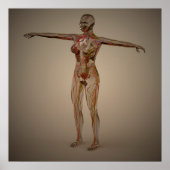 Conceptueel Afbeelding van het menselijk zenuwstel Poster (Voorkant)