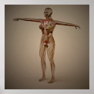 Conceptueel Afbeelding van het menselijk zenuwstel Poster