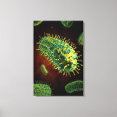 Conceptueel Afbeelding van het rabiësvirus 1 Canvas Afdruk (Voorkant)