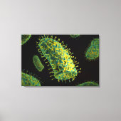 Conceptueel Afbeelding van het rabiësvirus 2 Canvas Afdruk (Voorkant)