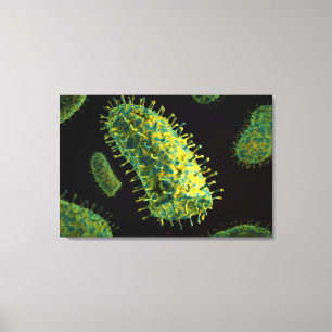 Conceptueel Afbeelding van het rabiësvirus 2 Canvas Afdruk
