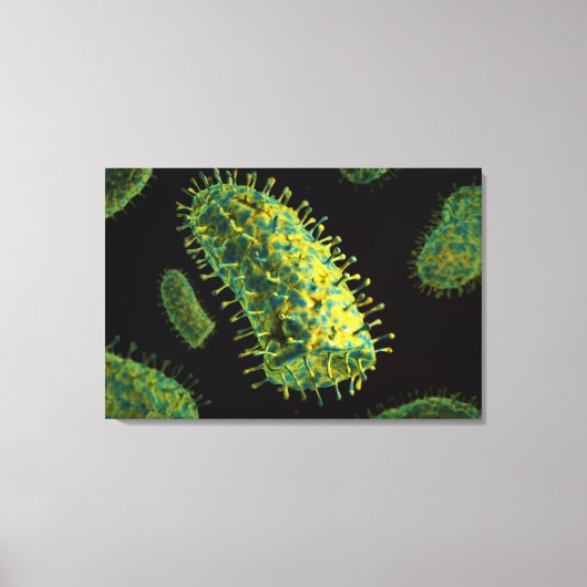 Conceptueel Afbeelding van het rabiësvirus 2 Canvas Afdruk (Voorkant)