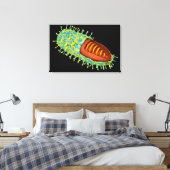 Conceptueel Afbeelding van het rabiësvirus 3 Canvas Afdruk (Insitu (Slaapkamer))