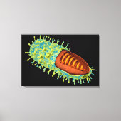 Conceptueel Afbeelding van het rabiësvirus 3 Canvas Afdruk (Voorkant)