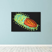 Conceptueel Afbeelding van het rabiësvirus 3 Canvas Afdruk (Insitu (Houten vloer))