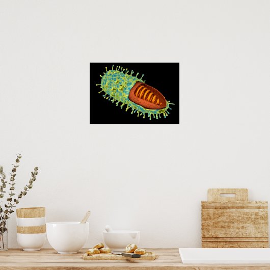 Conceptueel Afbeelding van het rabiësvirus 3 Poster (Keuken)