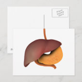 Conceptueel Afbeelding van het spijsverteringsstel Briefkaart (Voorkant / Achterkant)