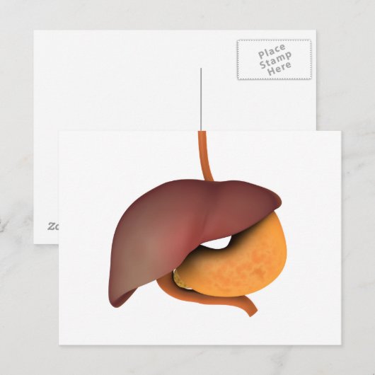 Conceptueel Afbeelding van het spijsverteringsstel Briefkaart (Voorkant / Achterkant)