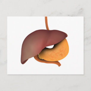 Conceptueel Afbeelding van het spijsverteringsstel Briefkaart