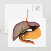 Conceptueel Afbeelding van het spijsverteringsstel Briefkaart (Voorkant / Achterkant)