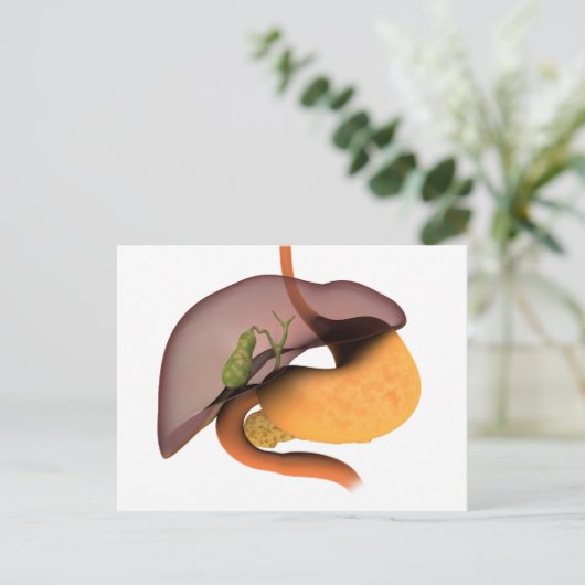 Conceptueel Afbeelding van het spijsverteringsstel Briefkaart (Staand voorkant)